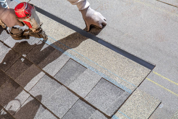 Best New Roof Installation  in Silver Springs Shores, FL